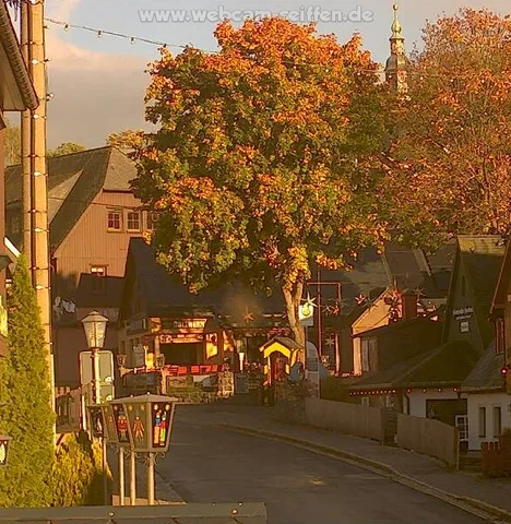 Seiffen: Ahorn in vollem Herbstrot im Abendlicht